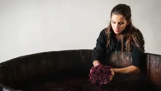 A woman is working with a large wooden vat filled with grape pomace, showcasing the winemaking process.