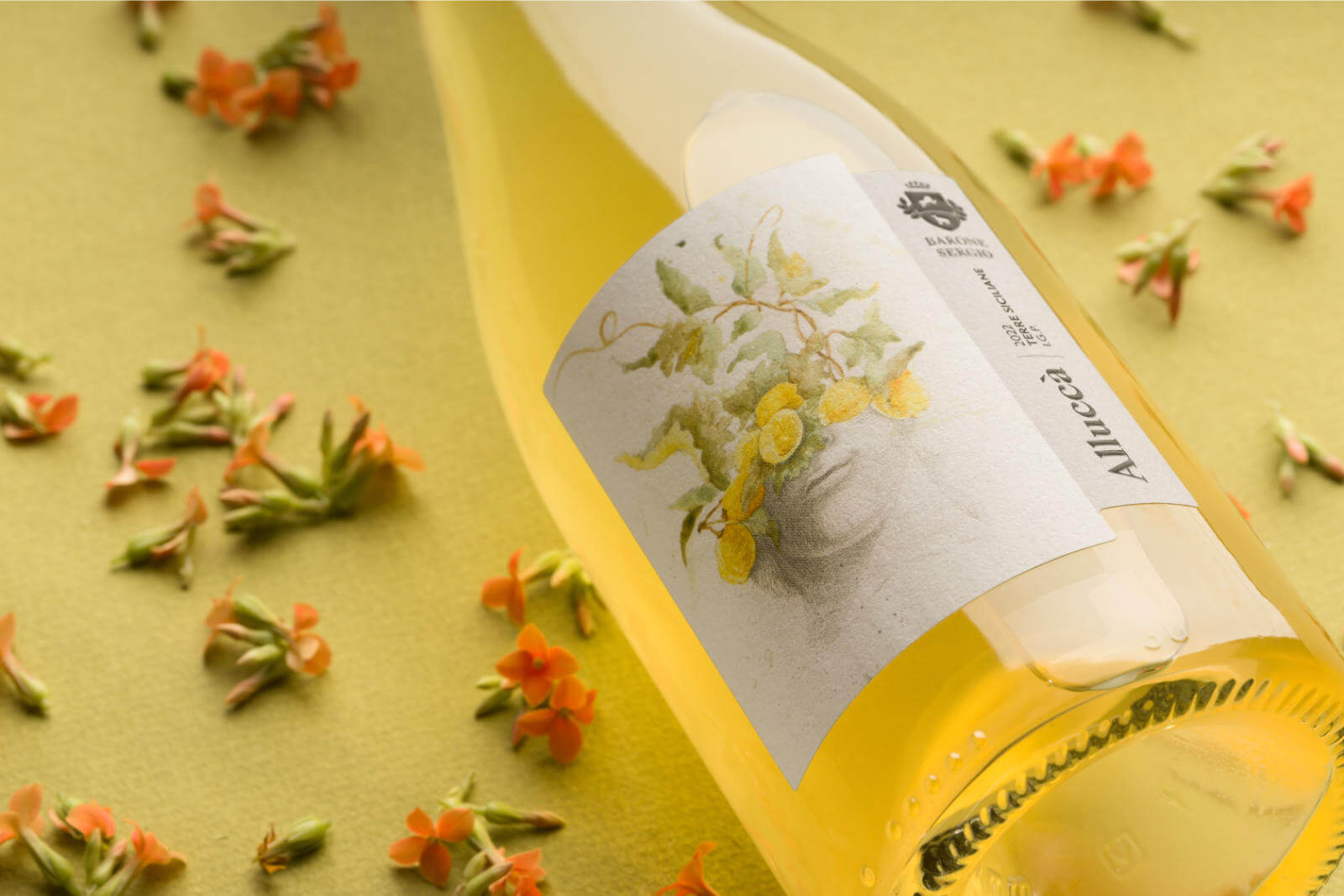 Spring in the Glass: Italian Wines for the Shift in Season