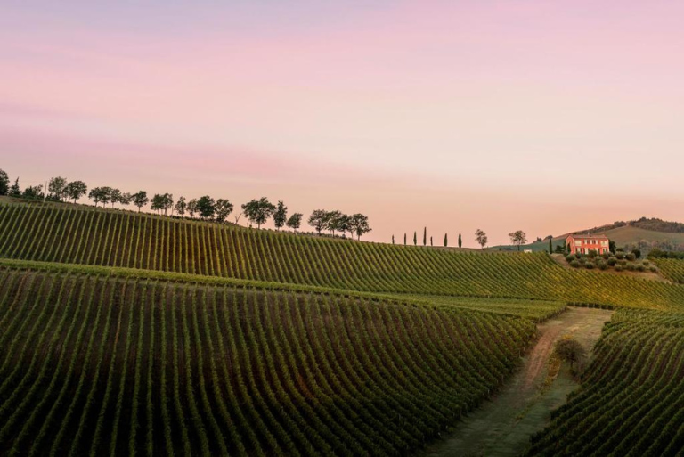 Condé: Expanding the Expression of Romagna 